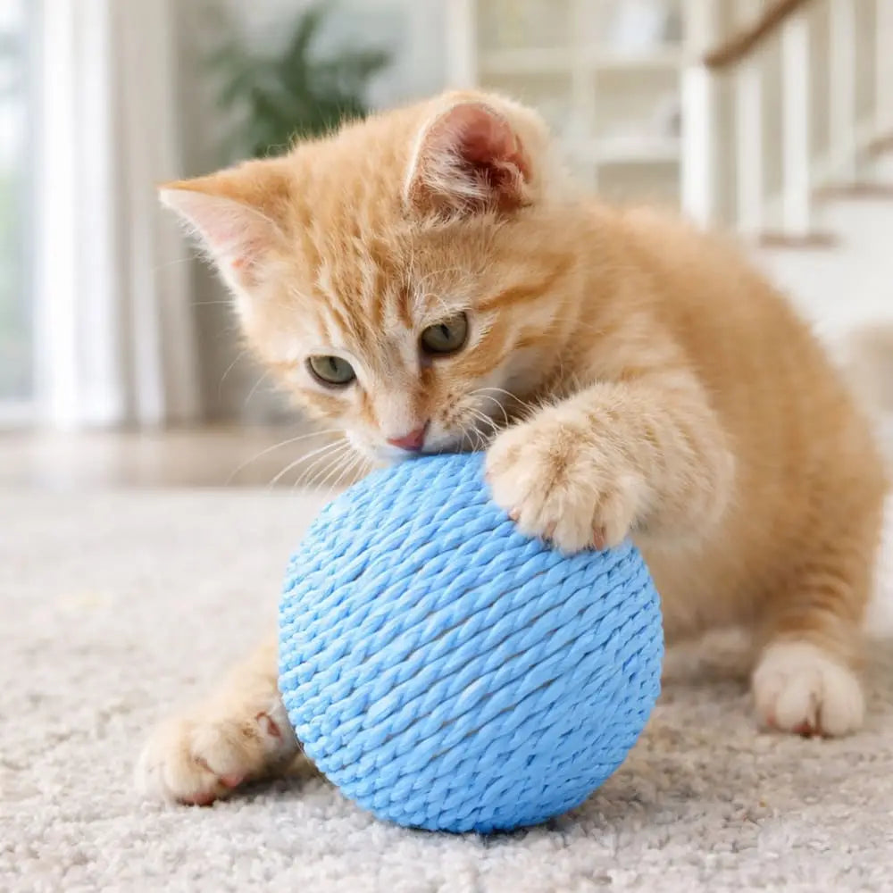 CAT TOYS