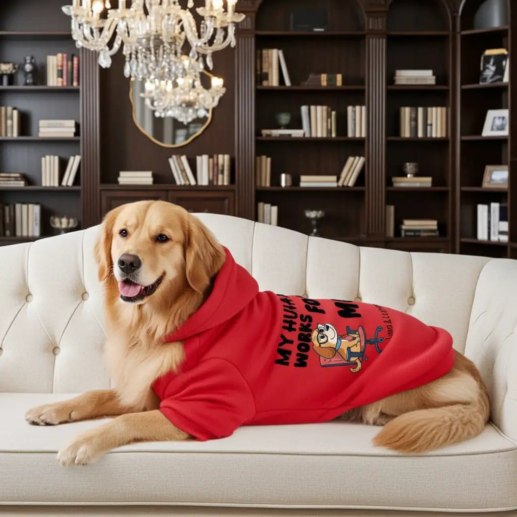 DOG HOODIES