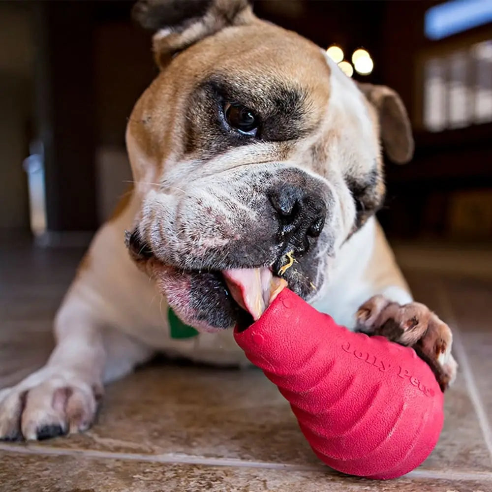 JOLLY PETS DOG TOYS