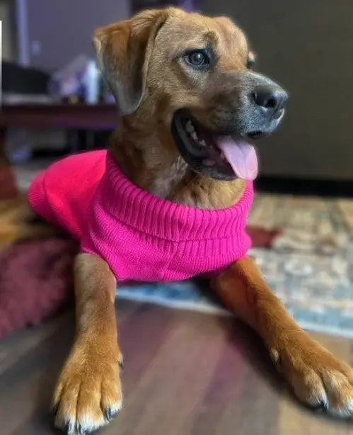 KNIT PET SWEATERS - CLEARANCE PRICED