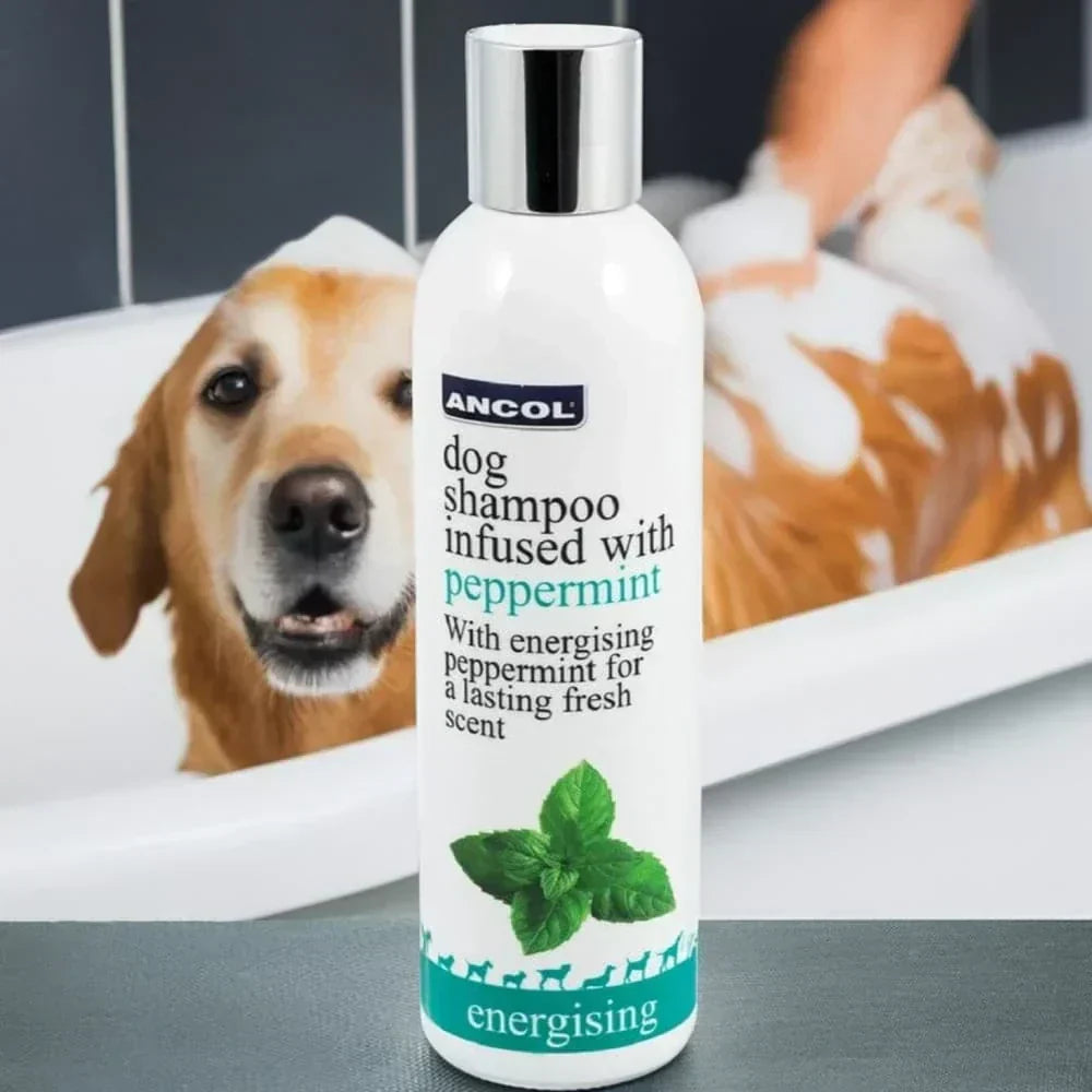 PREMIUM DOG SHAMPOOS