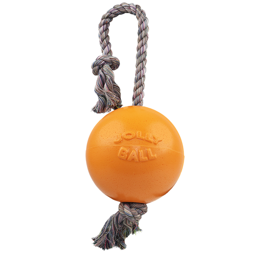 Romp-n-Roll Dog Toy