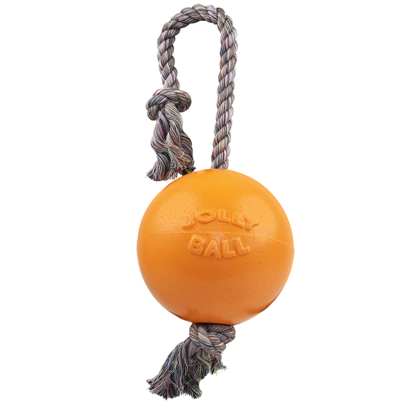 Romp-n-Roll Dog Toy