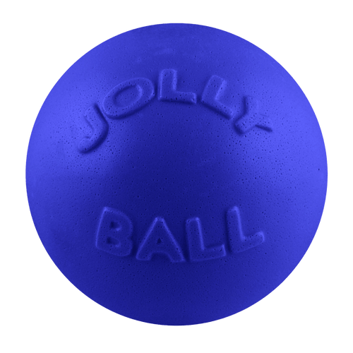 Bounce-n-Play Scented Dog Toy