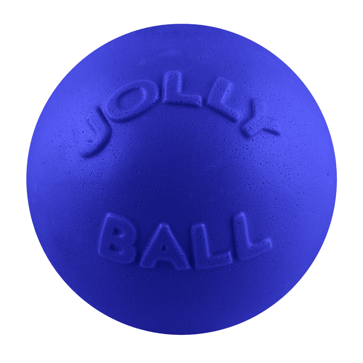 Bounce-n-Play Scented Dog Toy