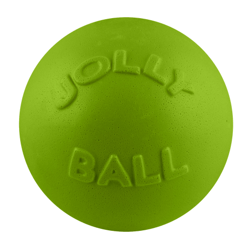Bounce-n-Play Scented Dog Toy