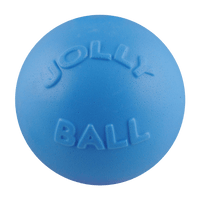 Bounce-n-Play Scented Dog Toy