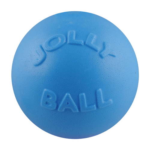 Bounce-n-Play Scented Dog Toy