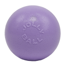 Bounce-n-Play Scented Dog Toy