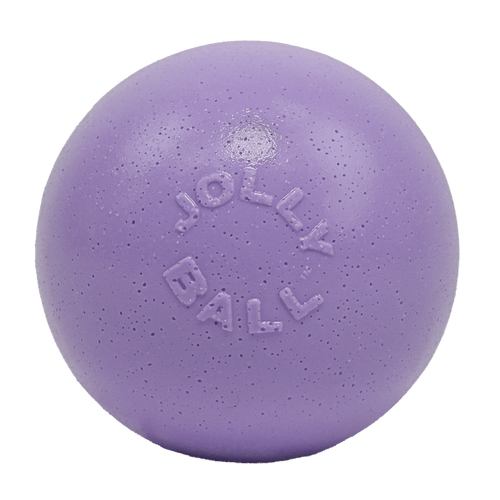 Bounce-n-Play Scented Dog Toy
