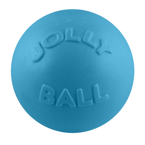 Bounce-n-Play Scented Dog Toy