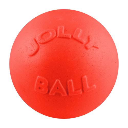 Bounce-n-Play Scented Dog Toy