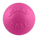 Bounce-n-Play Scented Dog Toy