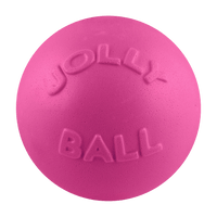 Bounce-n-Play Scented Dog Toy