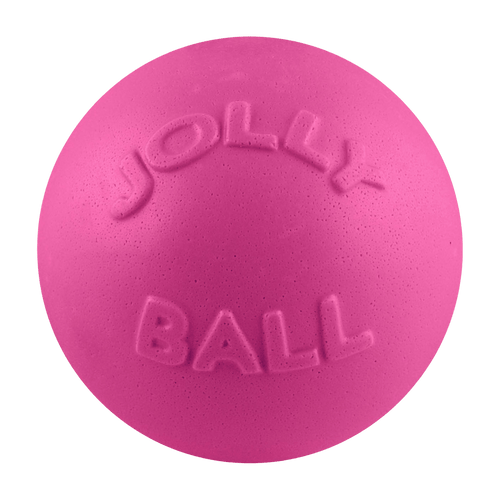Bounce-n-Play Scented Dog Toy
