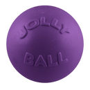Bounce-n-Play Scented Dog Toy