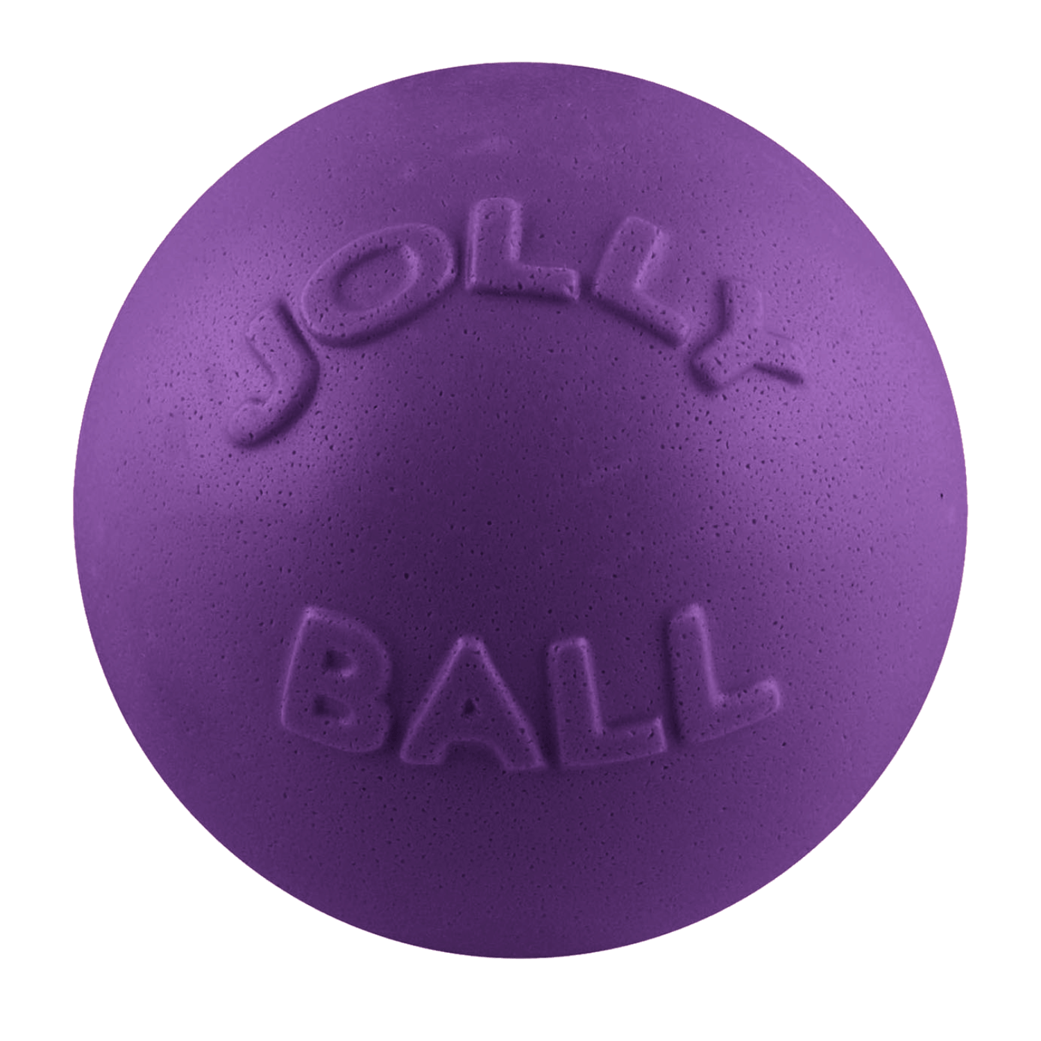 Bounce-n-Play Scented Dog Toy