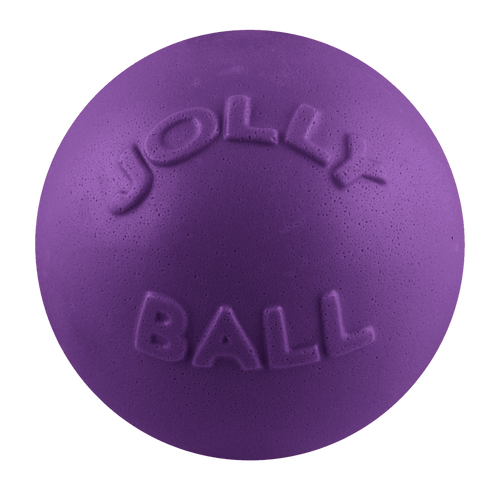Bounce-n-Play Scented Dog Toy