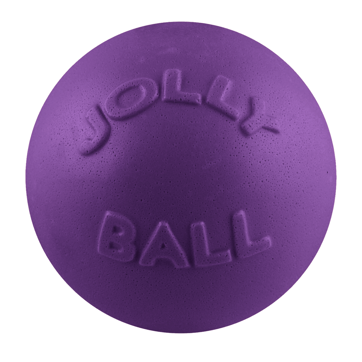 Bounce-n-Play Scented Dog Toy