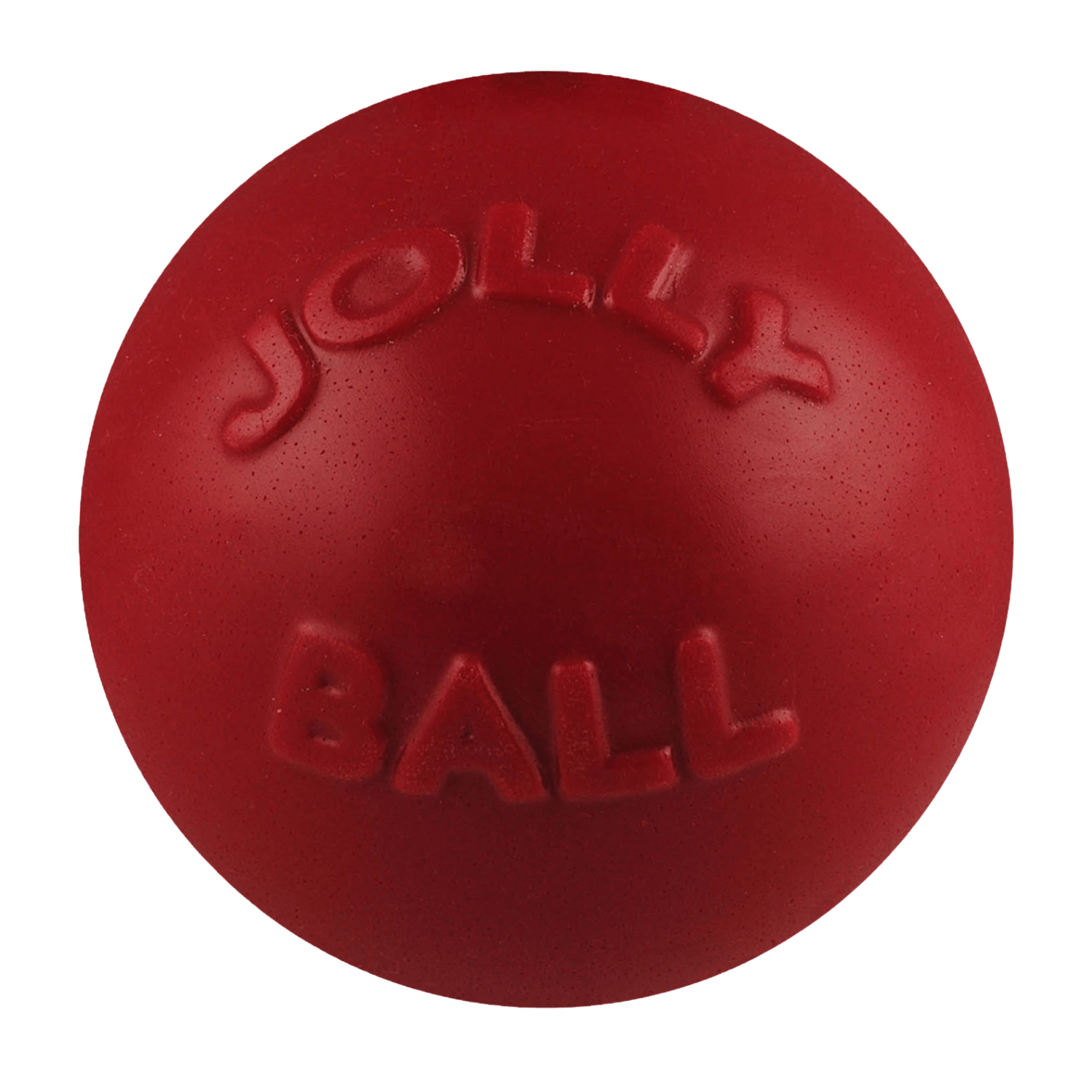 Bounce-n-Play Scented Dog Toy