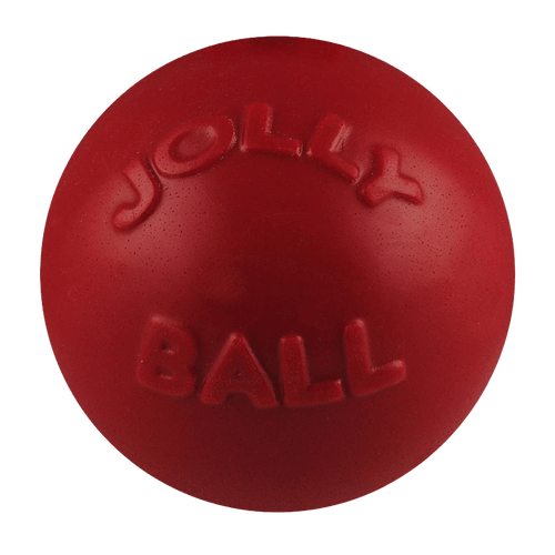 Bounce-n-Play Scented Dog Toy