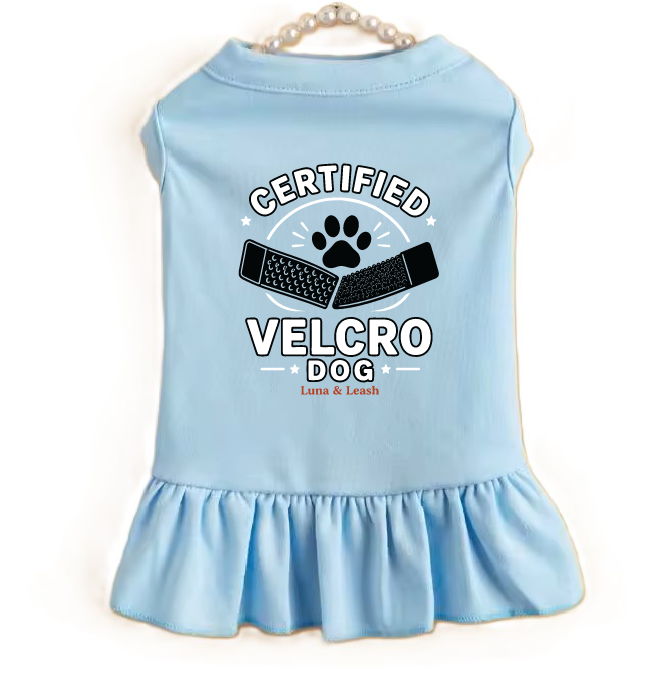 Light Blue / XS (0-3Lbs.)