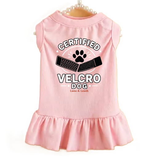 Certified Velcro Dog Dress