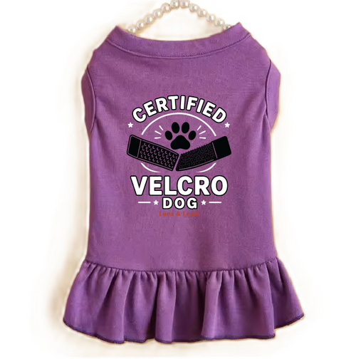Certified Velcro Dog Dress