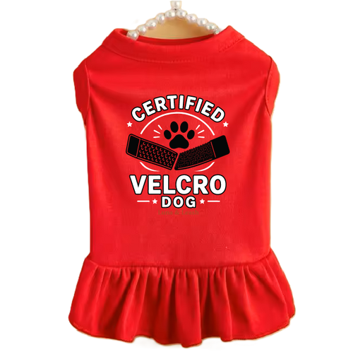Certified Velcro Dog Dress