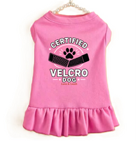 Certified Velcro Dog Dress