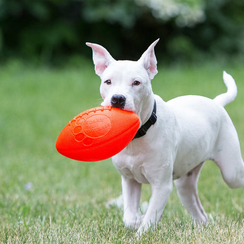 Jolly Football Dog Toy