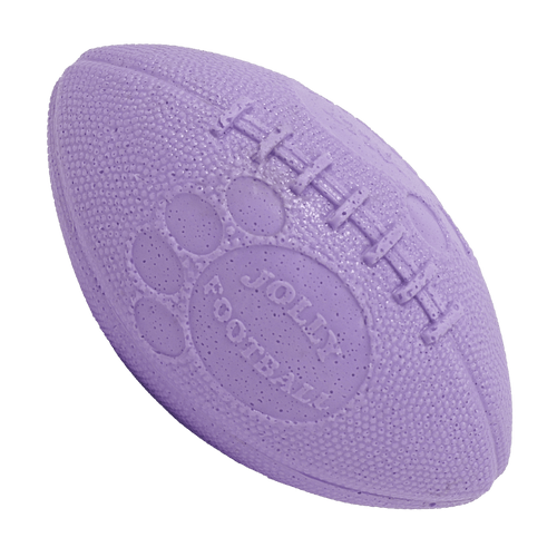 Jolly Football Dog Toy
