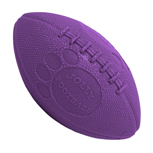 Jolly Football Dog Toy