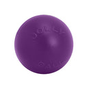 Push-n-Play Dog Toy