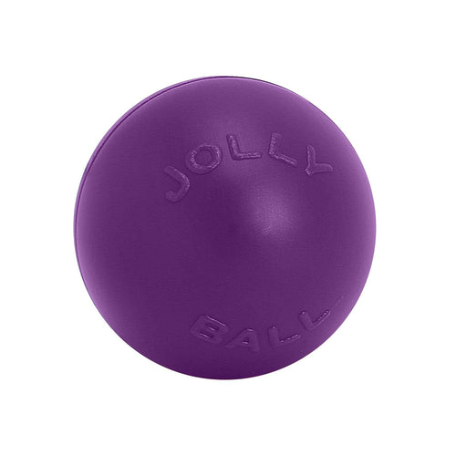 Push-n-Play Dog Toy