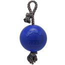 Romp-n-Roll Dog Toy