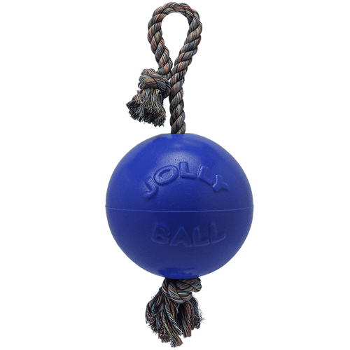 Romp-n-Roll Dog Toy