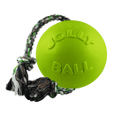 Romp-n-Roll Dog Toy