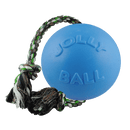Romp-n-Roll Dog Toy