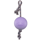 Romp-n-Roll Dog Toy