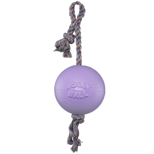 Romp-n-Roll Dog Toy