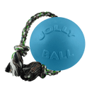 Romp-n-Roll Dog Toy