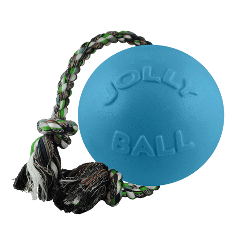 Romp-n-Roll Dog Toy