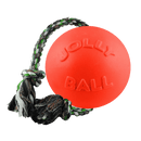 Romp-n-Roll Dog Toy