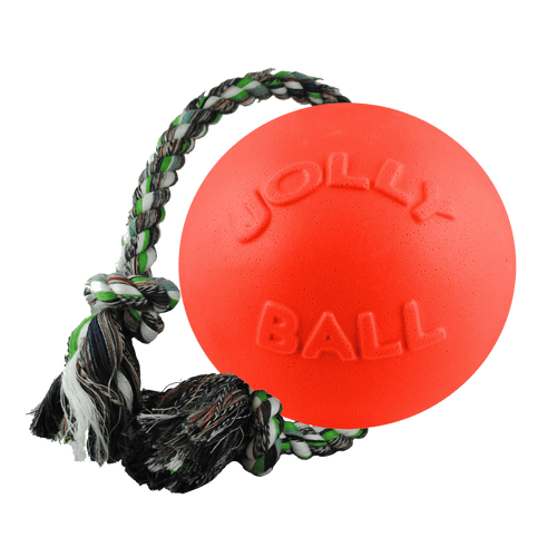 Romp-n-Roll Dog Toy