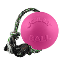 Romp-n-Roll Dog Toy
