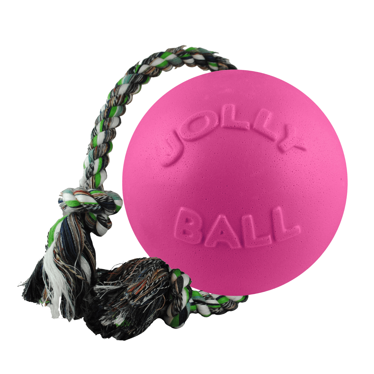 Romp-n-Roll Dog Toy