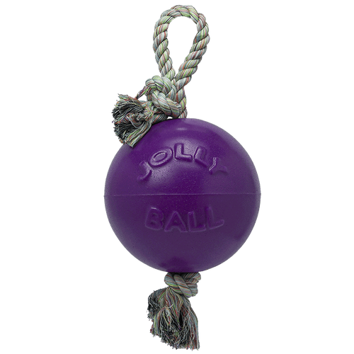 Romp-n-Roll Dog Toy