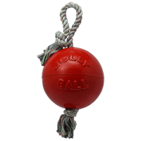 Romp-n-Roll Dog Toy