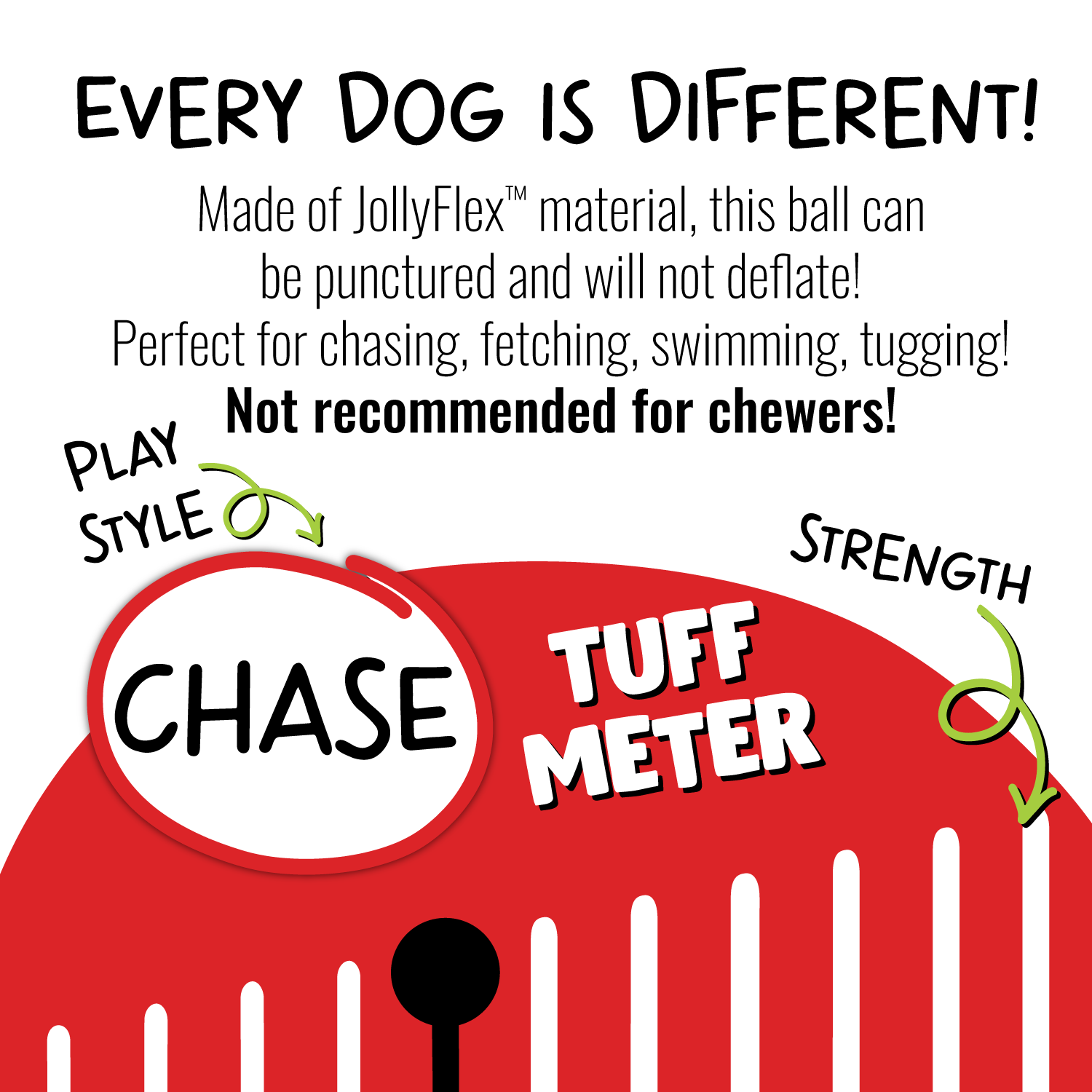 Tug-n-Toss Dog Toy